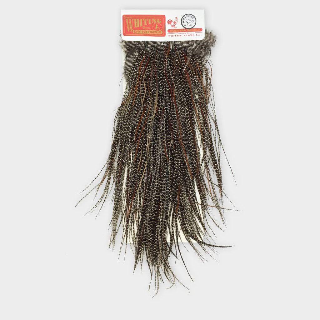 Bronze Grade Full Saddle - Color Barred Medium Ginger G7707