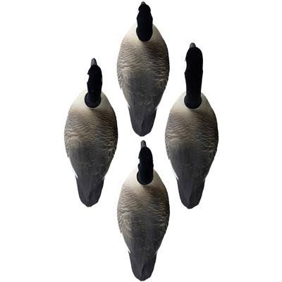 Canada Goose Floater H5005