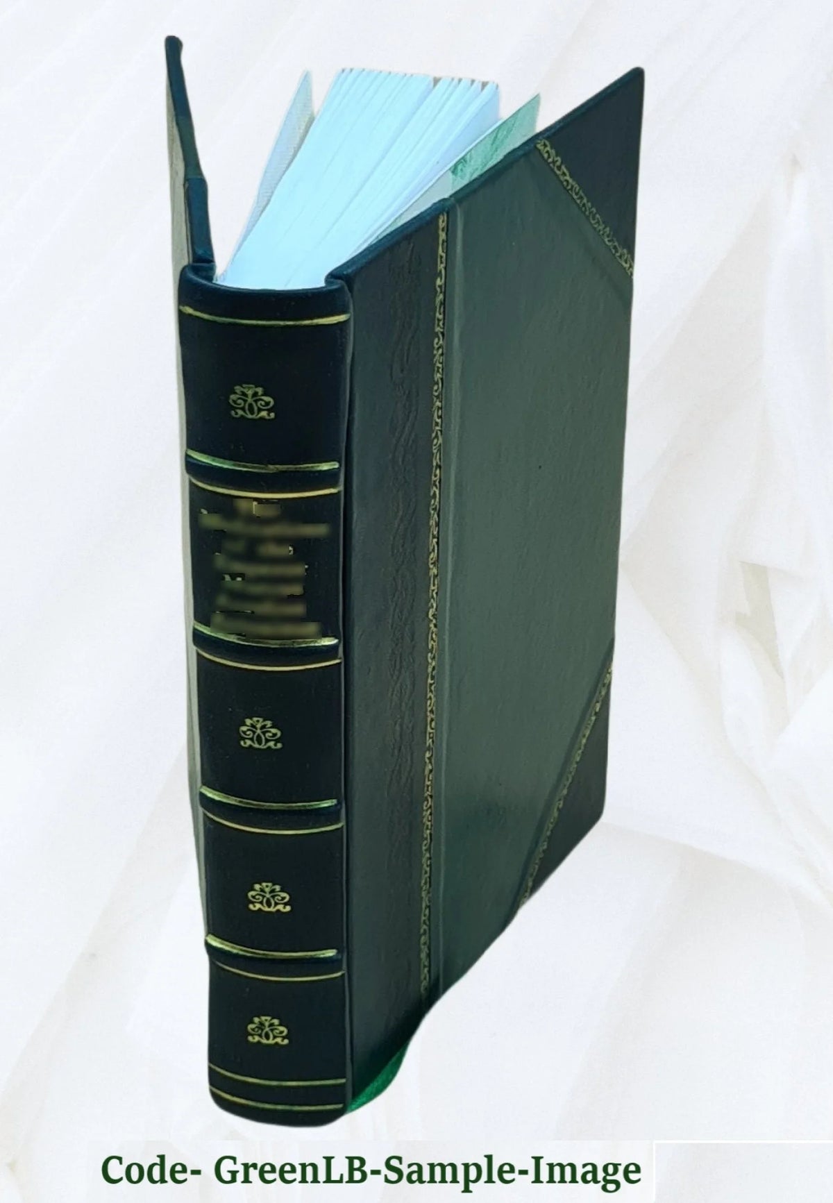 Leather Bound Book D5323