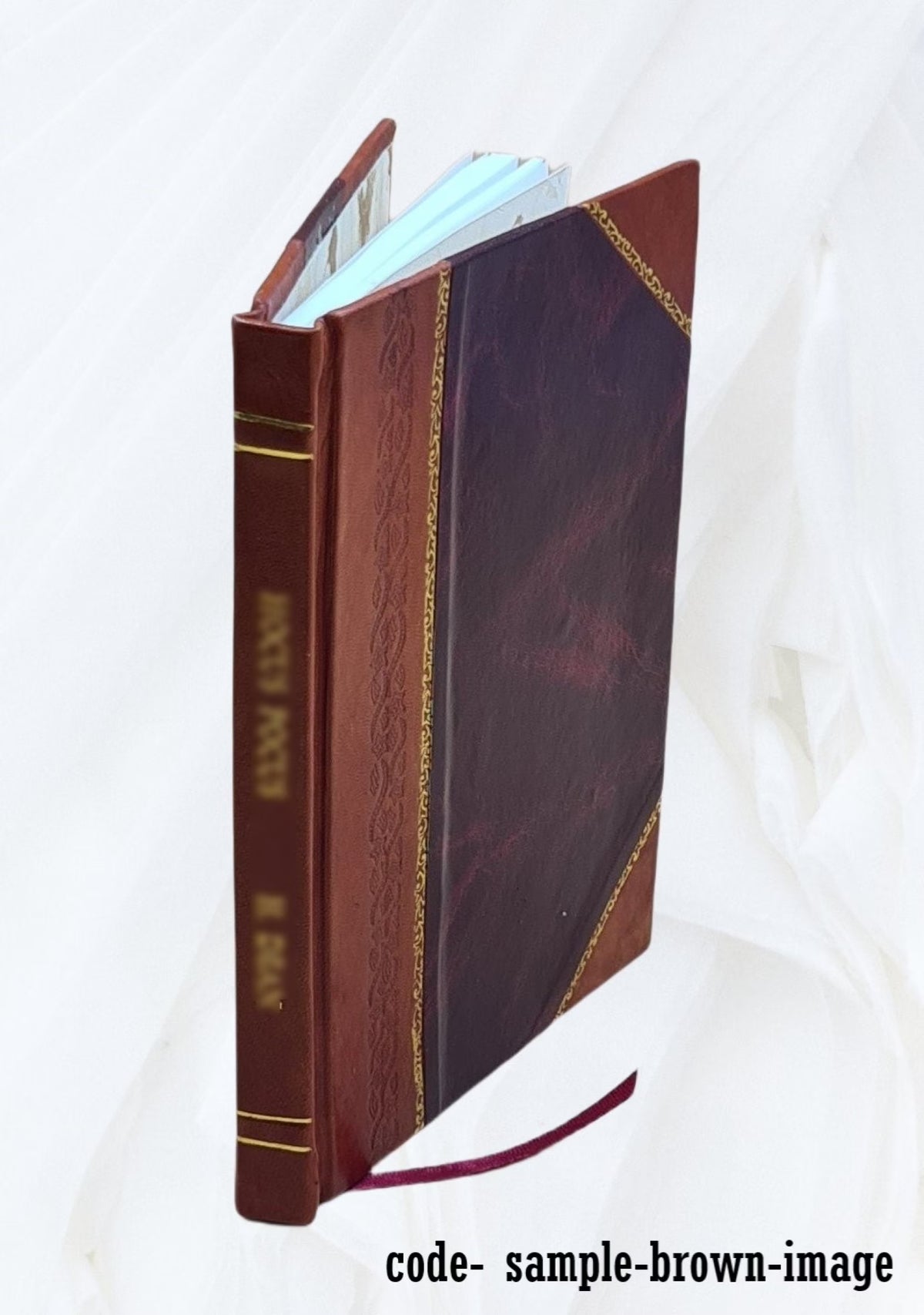Leather Bound Book P117