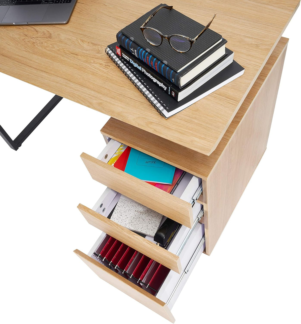 Computer Desk with Storage and File Cabinet S221