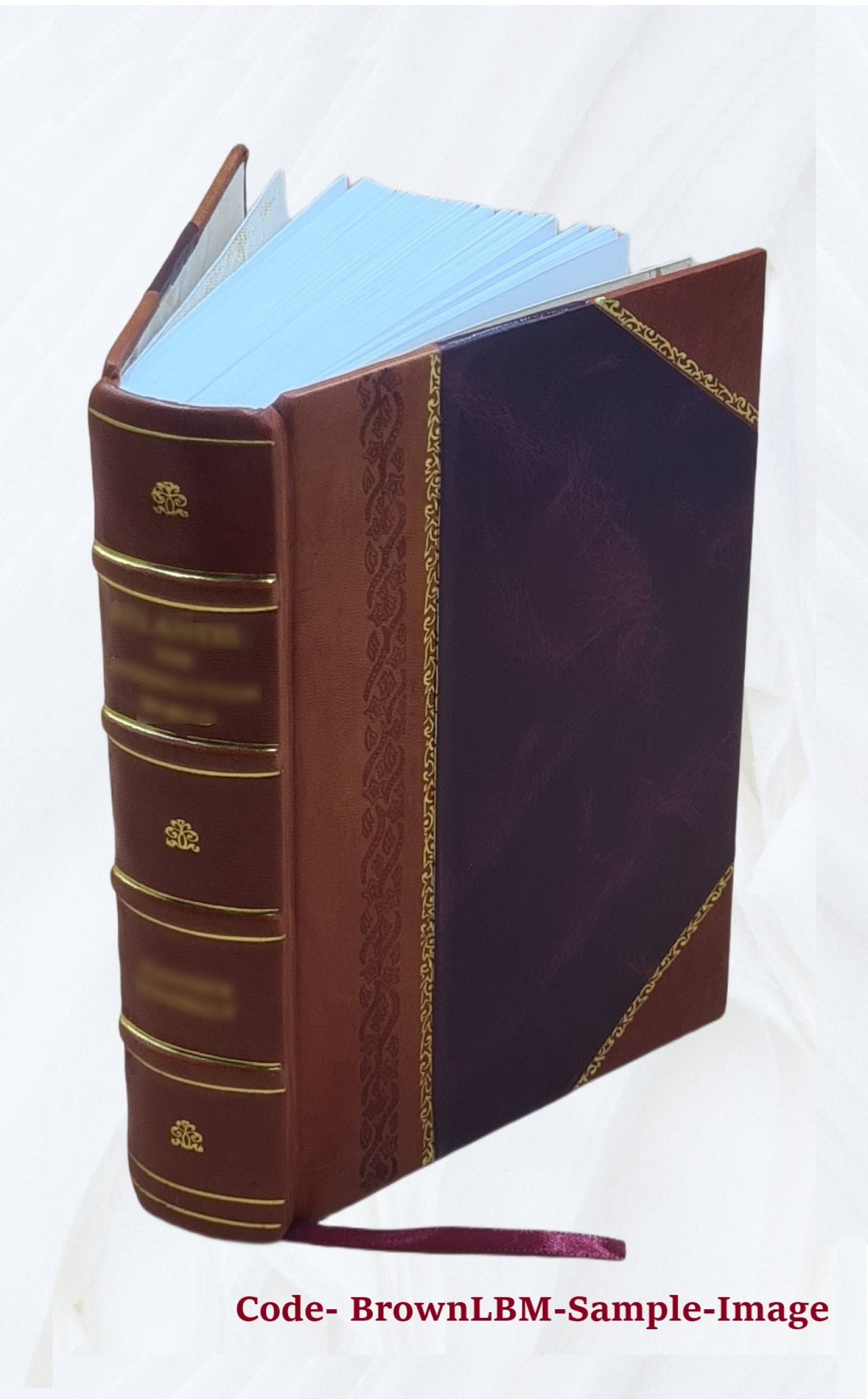 Report on the barge canal from the Hudson River to the Great Lakes, February 12, 1901. Volume v.1 1901 [Leather Bound] L737
