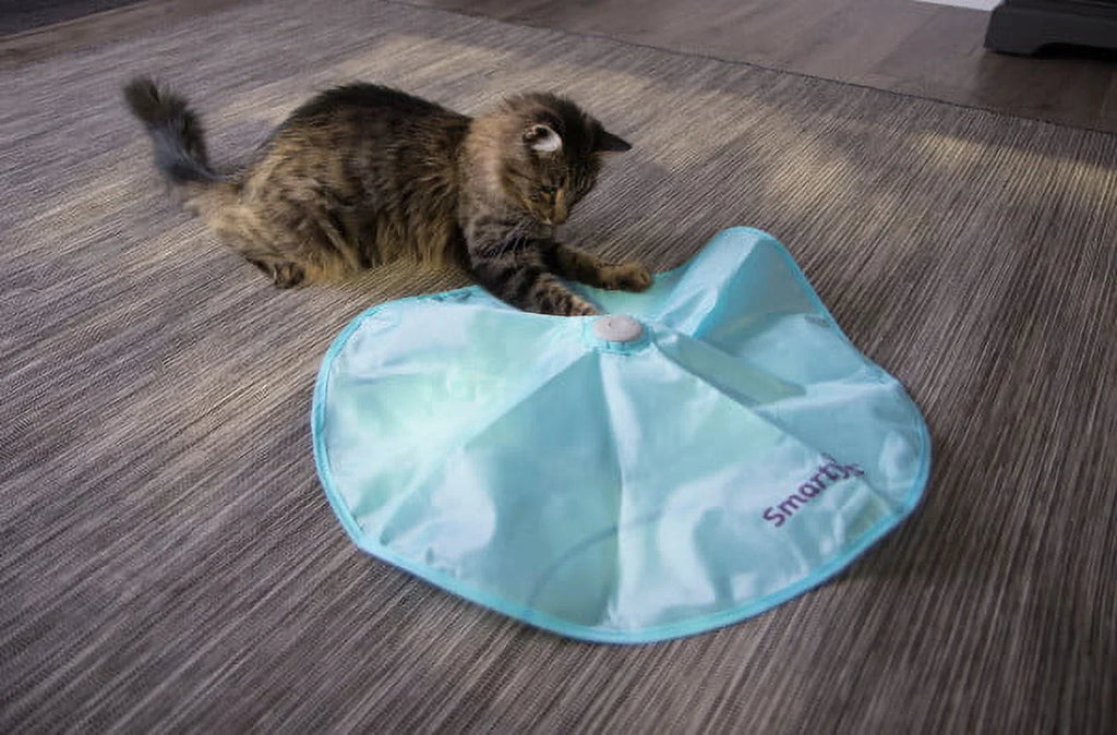 Concealed Motion Cat Toy with 2 Replacement Wands F236