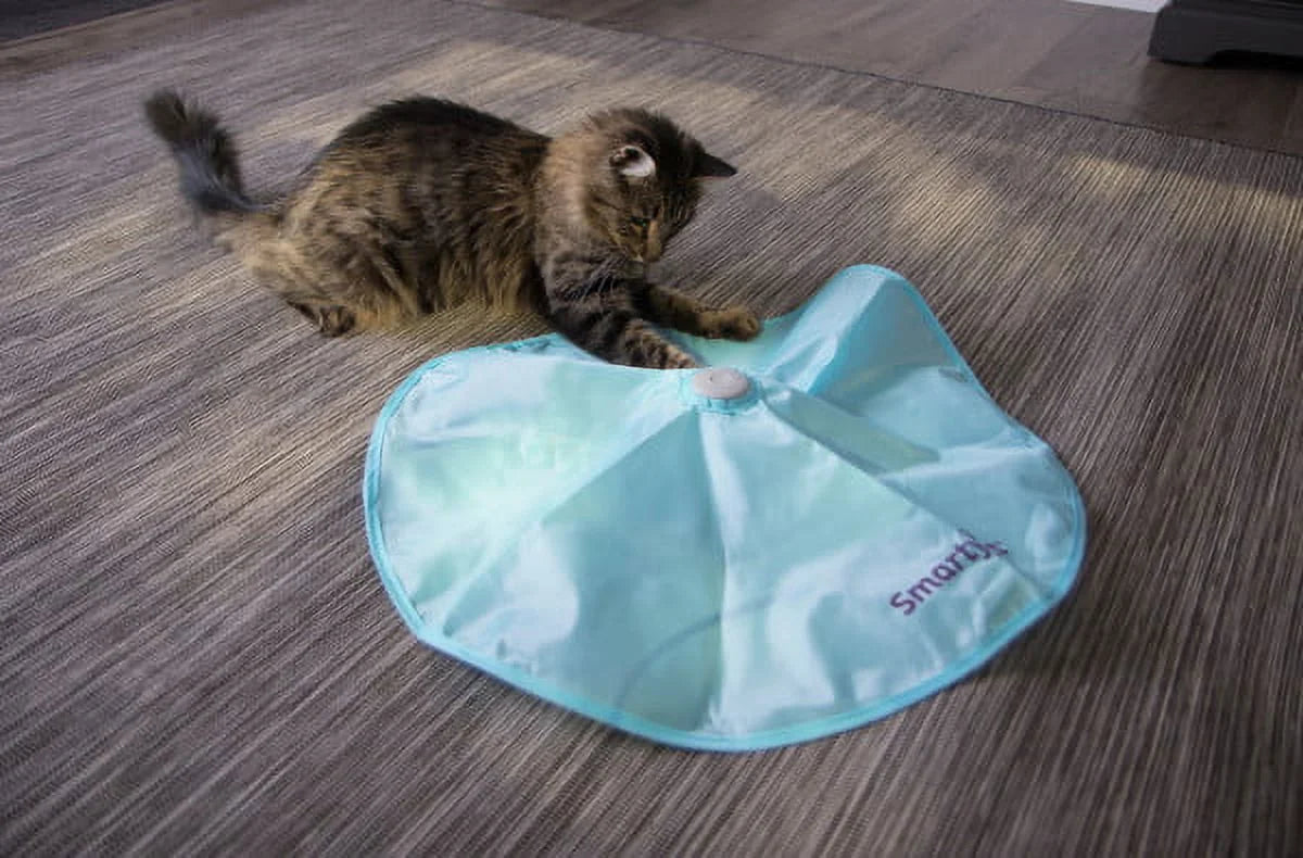 Concealed Motion Cat Toy with 2 Replacement Wands F236