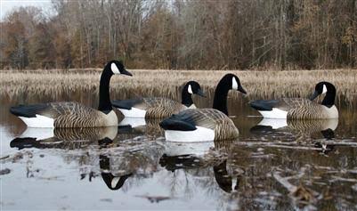 Canada Goose Floater H5005
