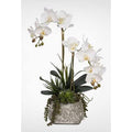 Mixed Floral Arrangement in Pot W62365