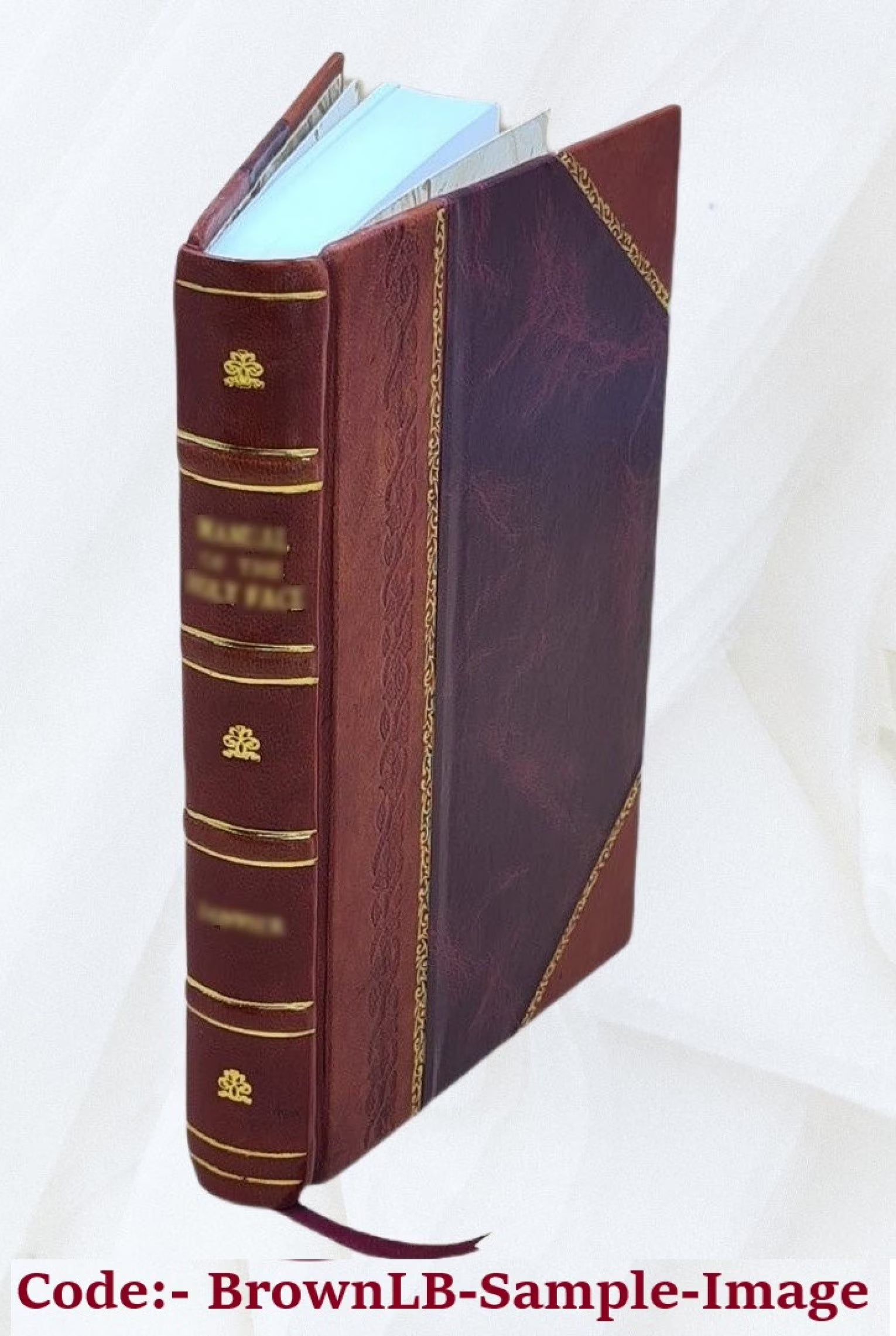Leather Bound Book D5323