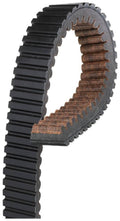 Carbon Drive Belt U896068