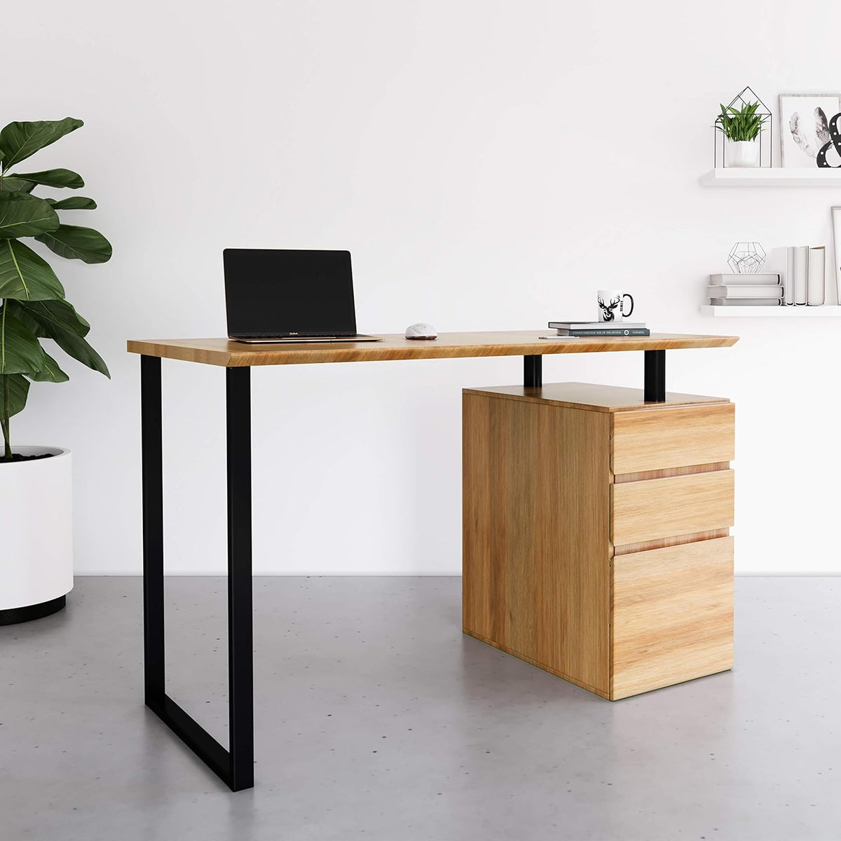 Computer Desk with Storage and File Cabinet S221