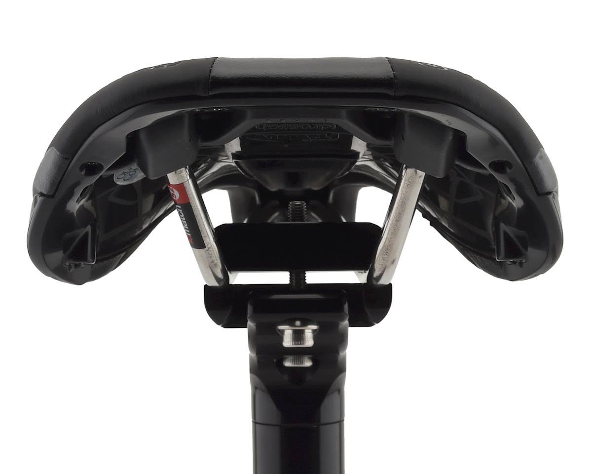 Black Saddle C202653