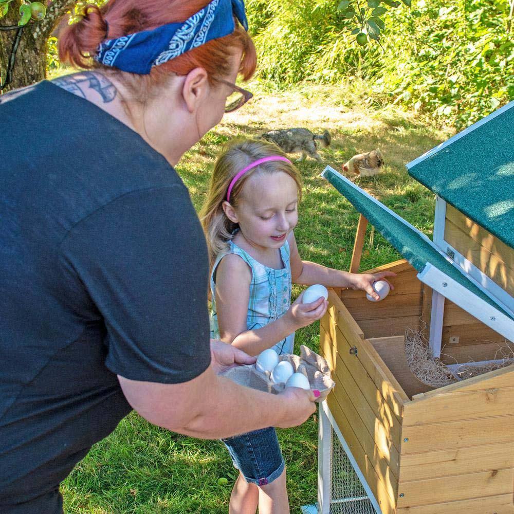 Chicken Coop and Hen House H52102