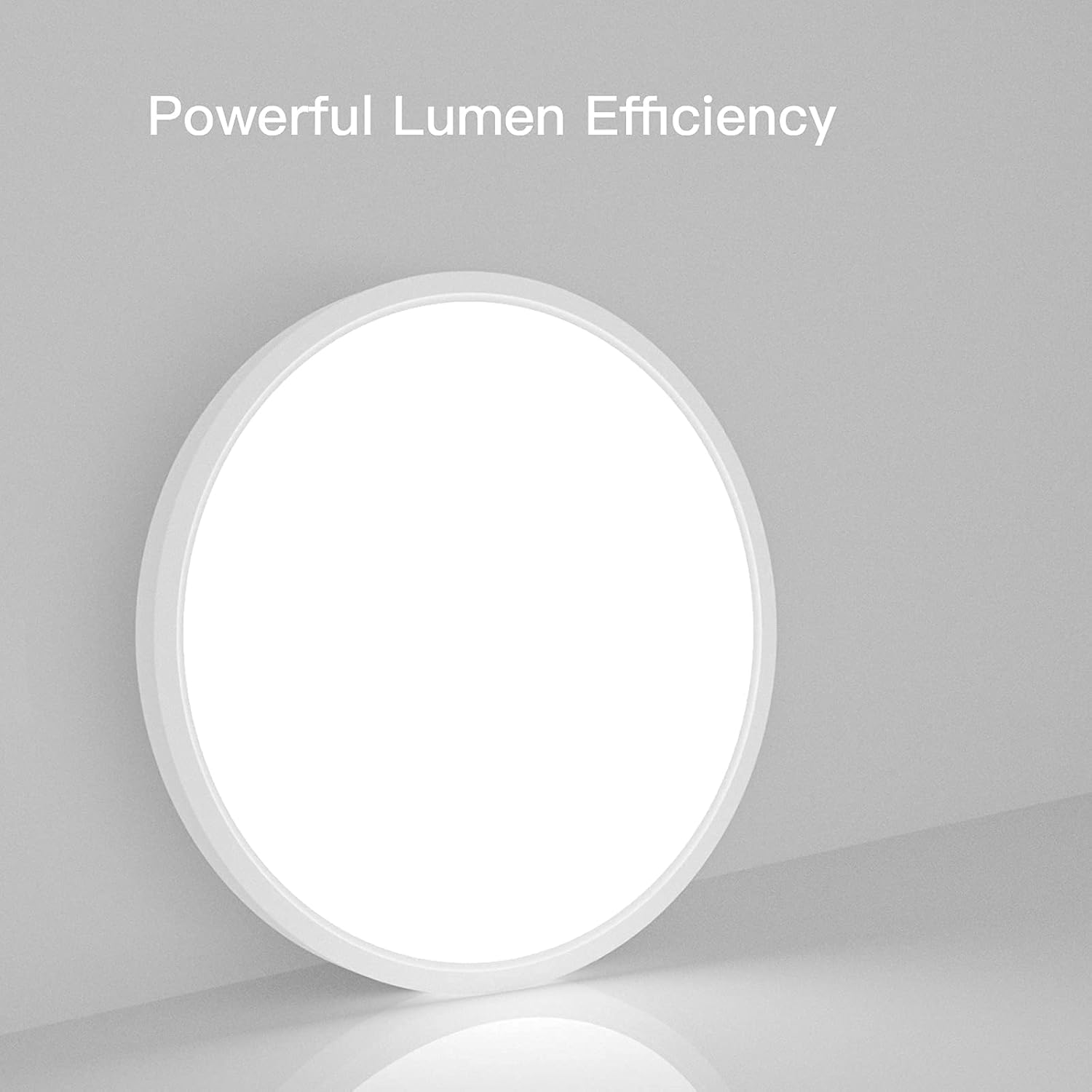 2 Pack Dimmable 12inch Flush Mount LED Ceiling Light O8731