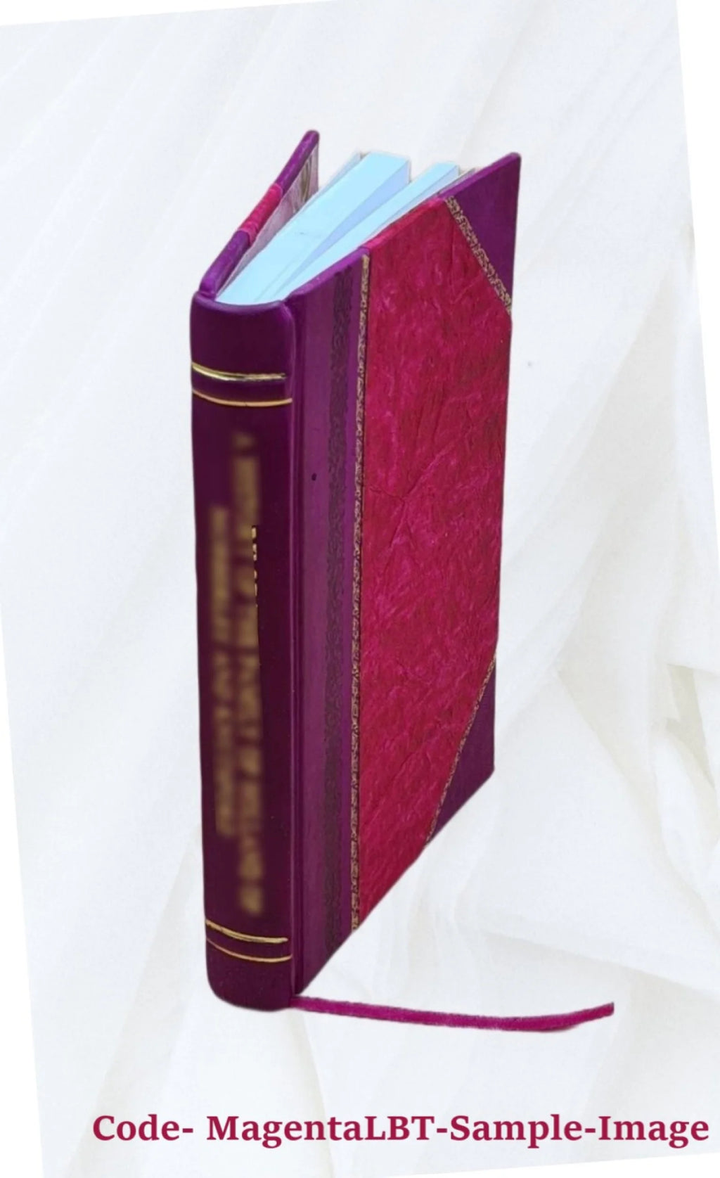 Leather Bound Book P117