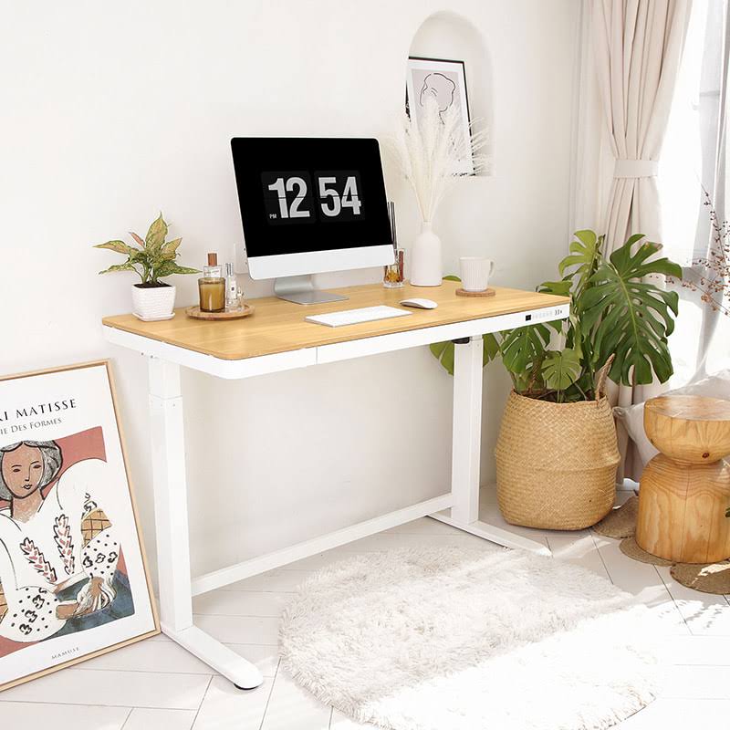 Electric Height Adjustable Standing Desk with Drawer 48 x 24 Inches Red Oak Desktop White Frame Q564308