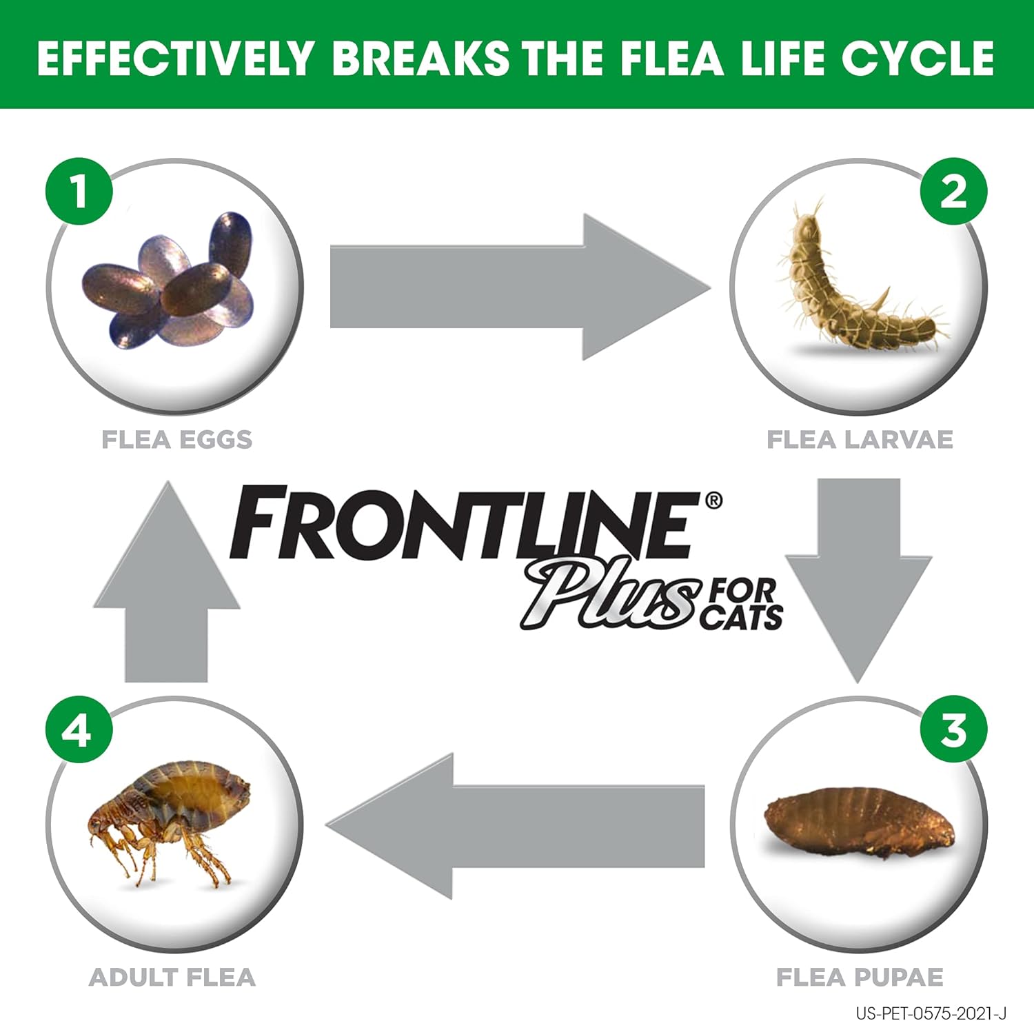 Flea and Tick Treatment for Cats (8 Doses) S544