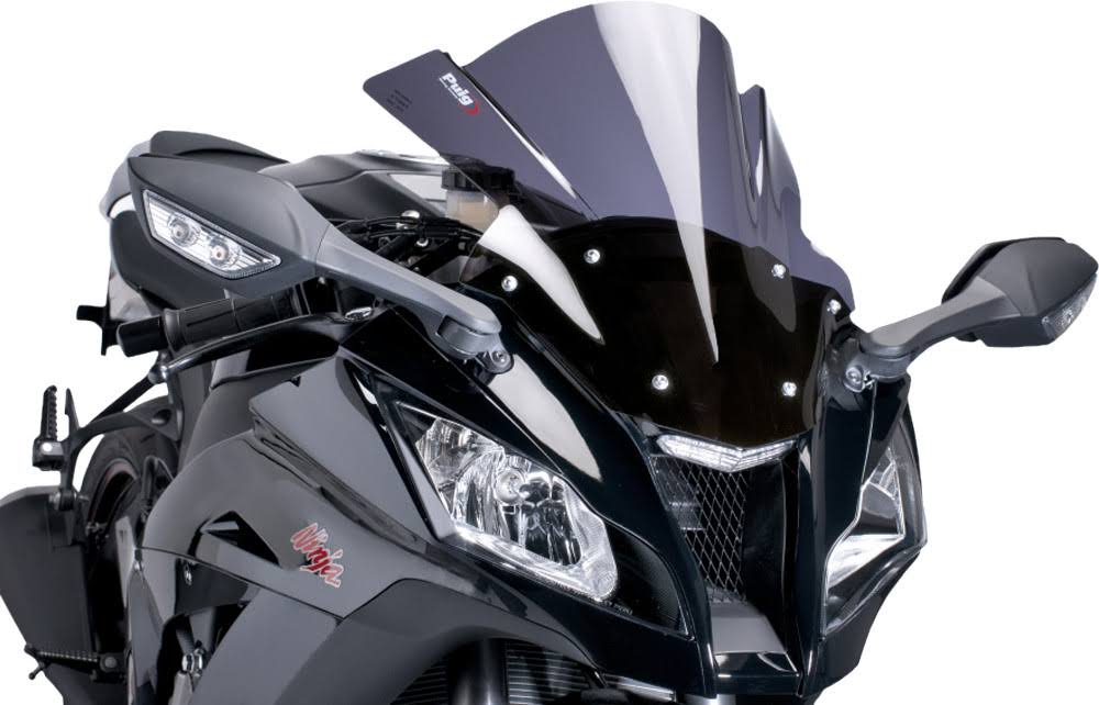 Dark Smoke Racing Windscreen F61214