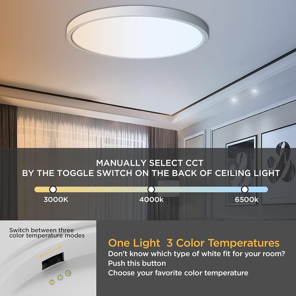 2 Pack Dimmable 12inch Flush Mount LED Ceiling Light O8731