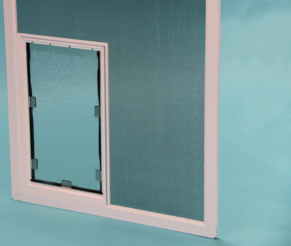 Screen Mounted Cat and Dog Door F83851