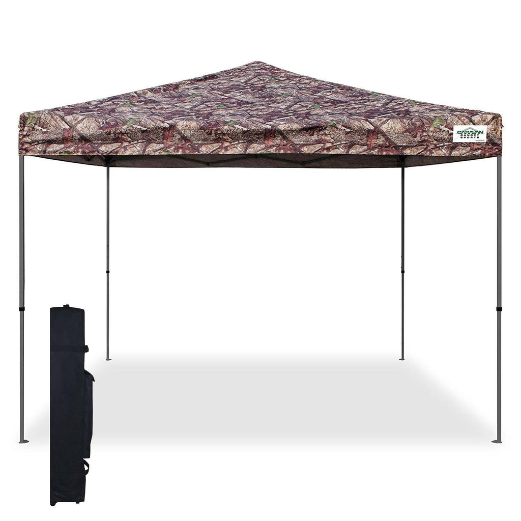 10 ft. x 10 ft. Canopy D15922