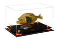 Clear Acrylic Display Case with Orange Risers W616212