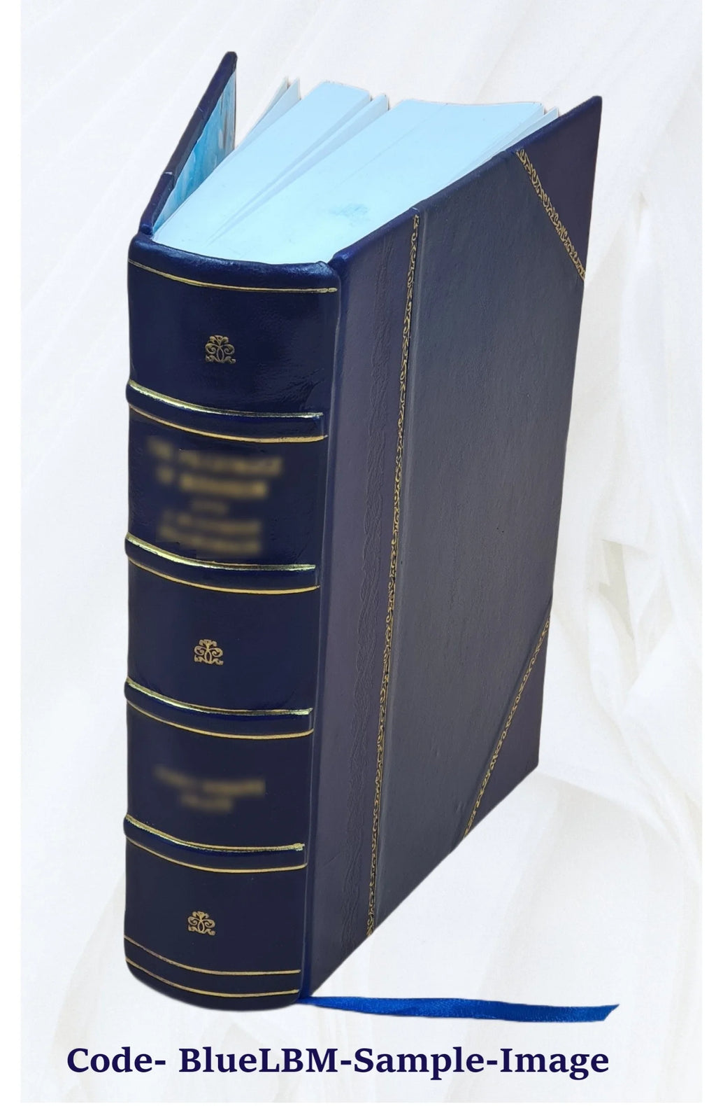 Report on the barge canal from the Hudson River to the Great Lakes, February 12, 1901. Volume v.1 1901 [Leather Bound] L737