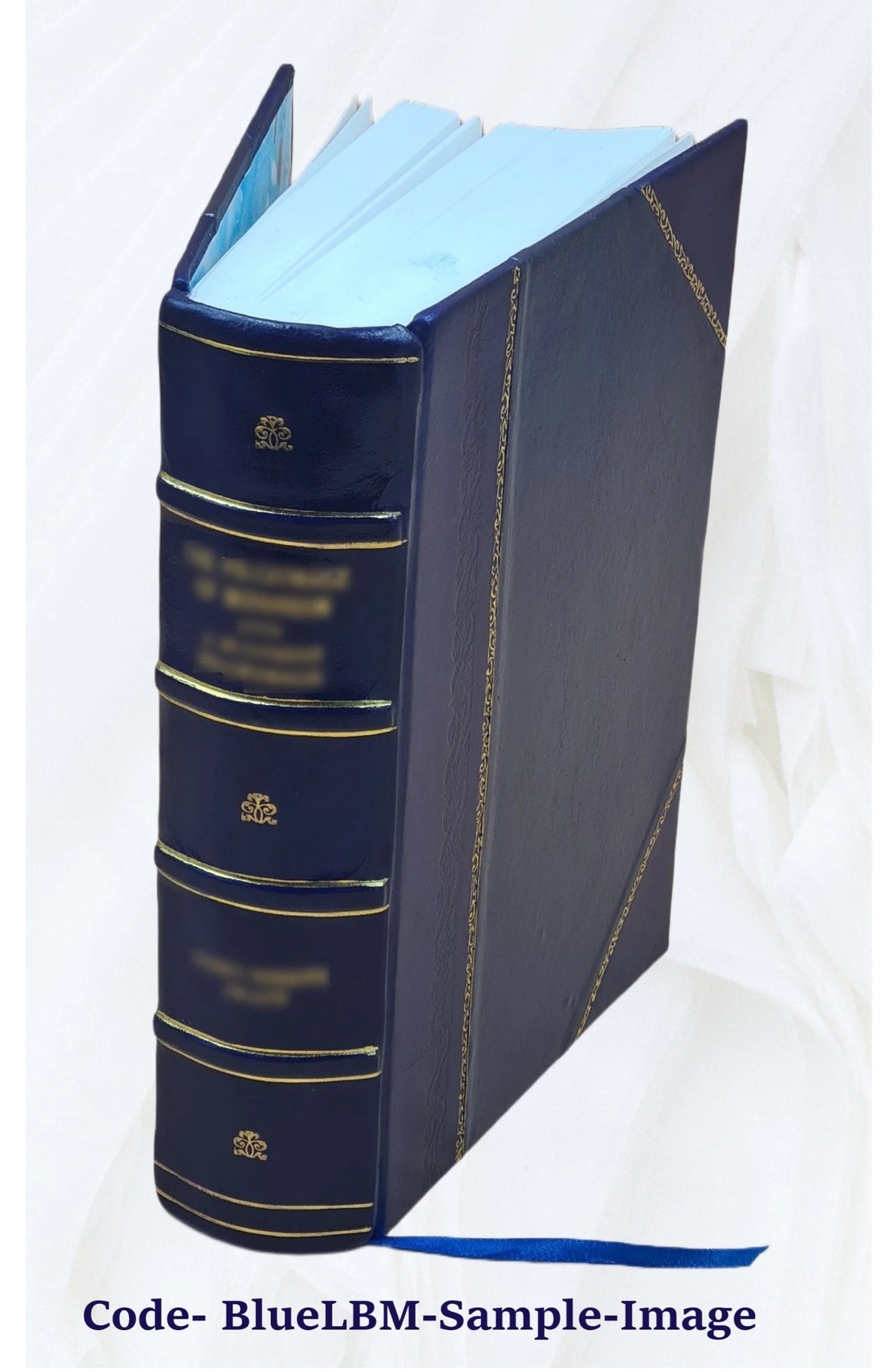 Report on the barge canal from the Hudson River to the Great Lakes, February 12, 1901. Volume v.1 1901 [Leather Bound] L737