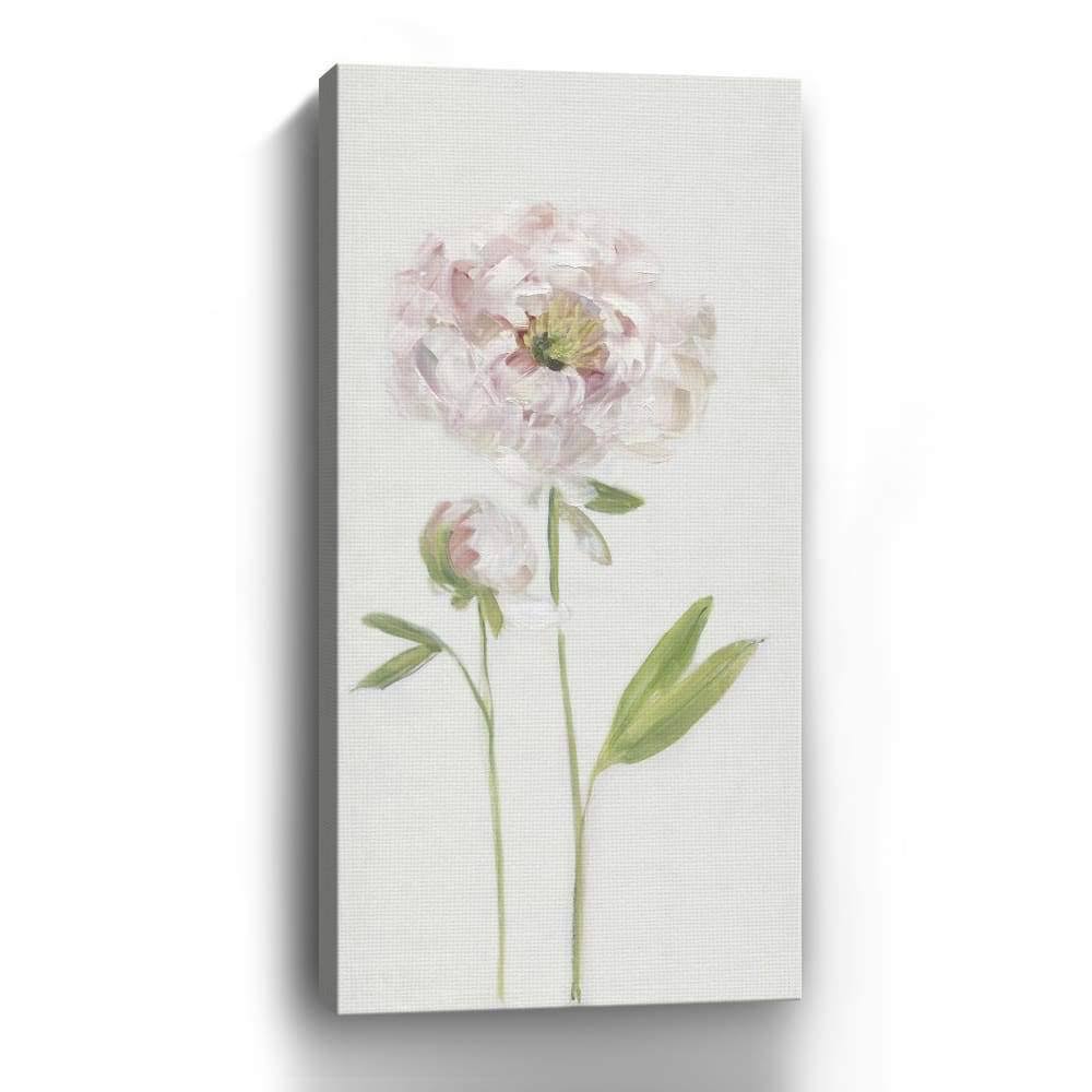 Pink Canvas Giclee Peony 30x22 V209