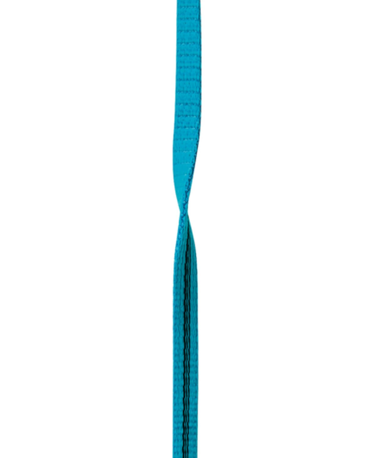 12mm x 100m Icemint Web S542