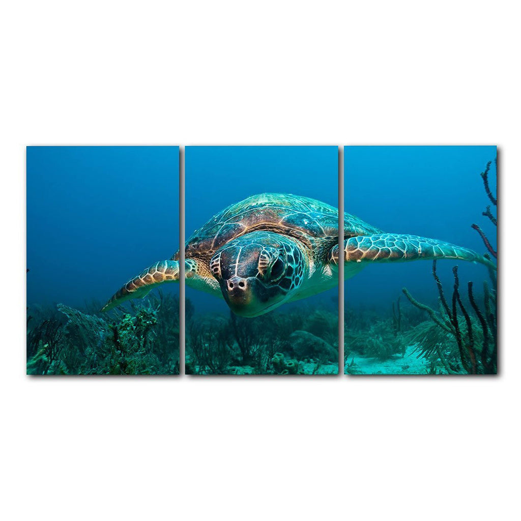 3-Piece Canvas Art Set S4598