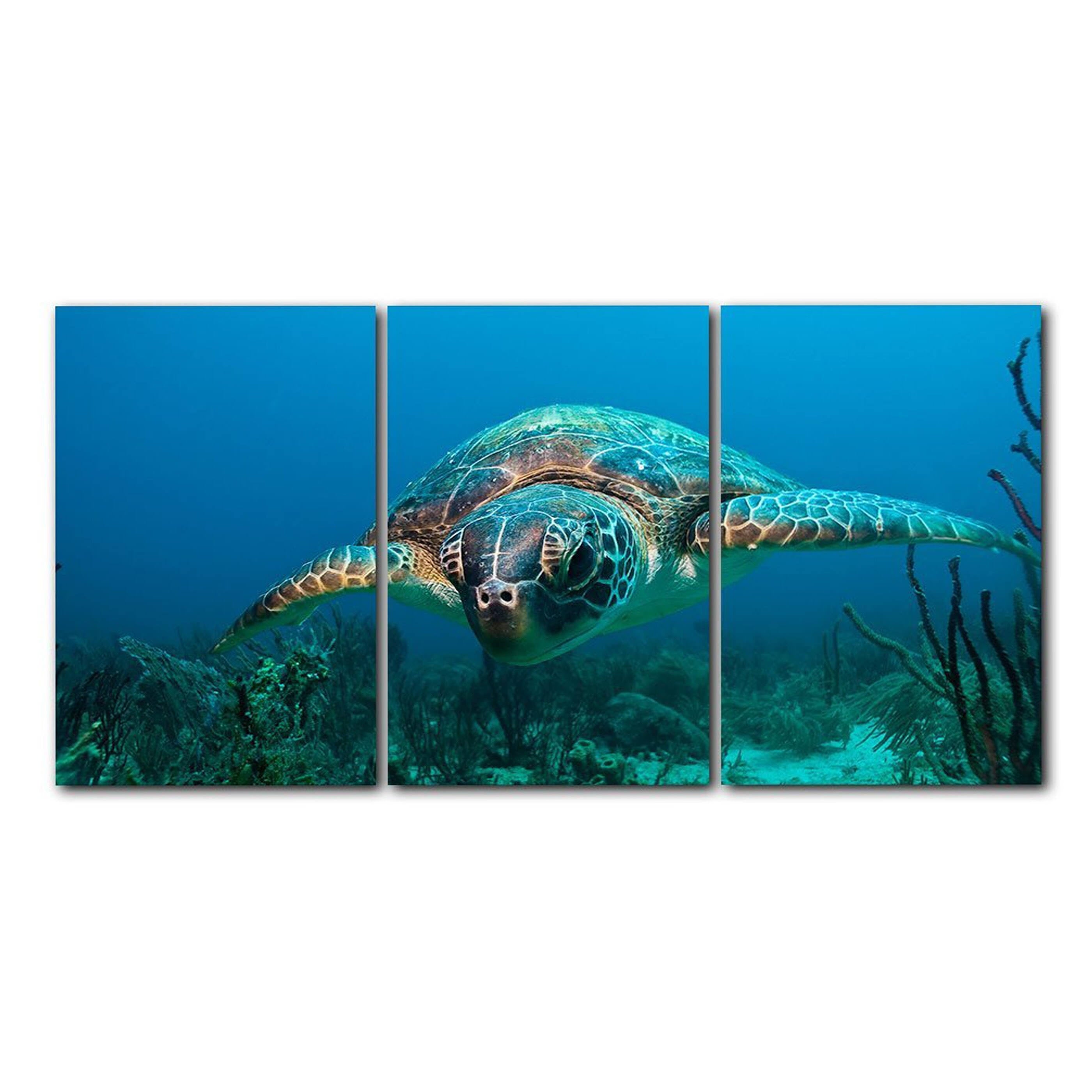 3-Piece Canvas Art Set S4598