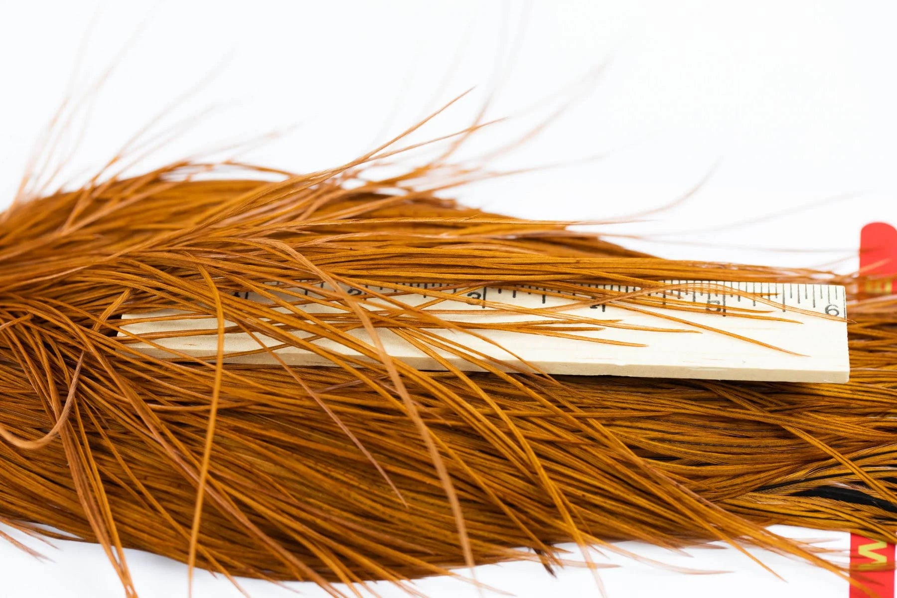 Bronze Grade White Dry Fly Cape Q489737