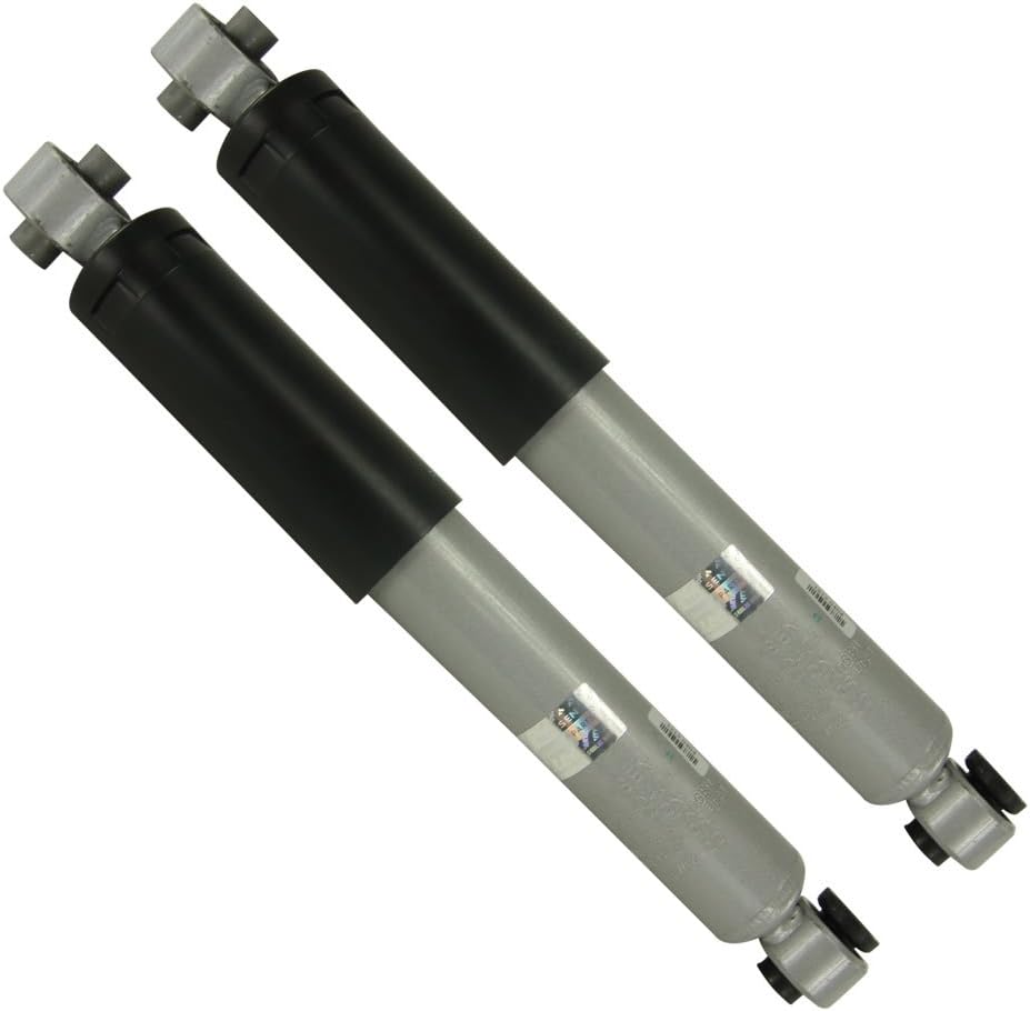 Rear Struts Pack of 2 K362821