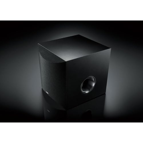 10" 100W Powered Subwoofer Black T16590