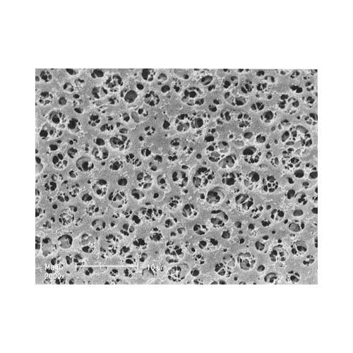 25 mm Cellulose Acetate Membrane Filter, 1.2 um, 100 Pcs H821831
