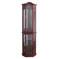 Cherry Lighted Curio Cabinet N63809