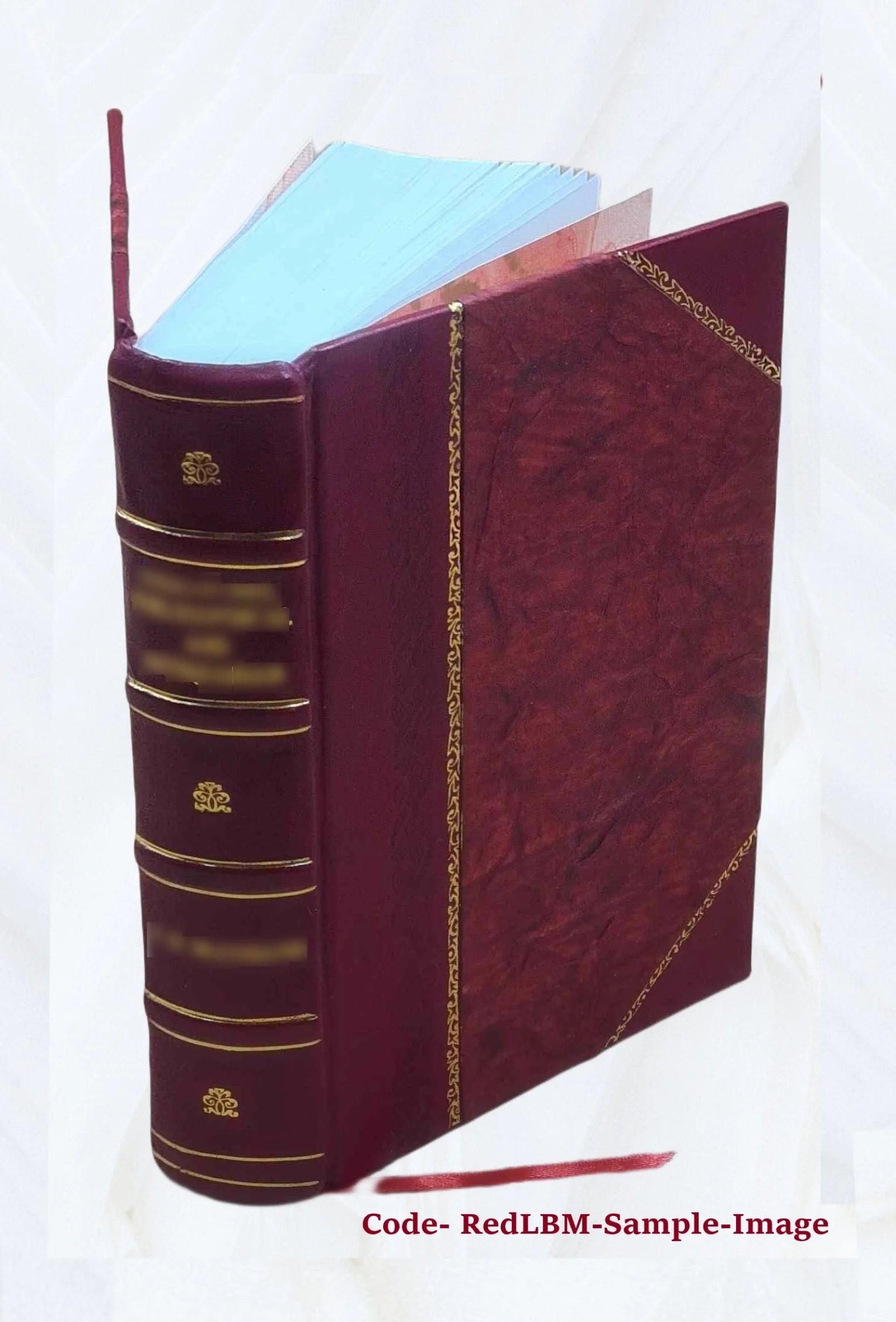 Report on the barge canal from the Hudson River to the Great Lakes, February 12, 1901. Volume v.1 1901 [Leather Bound] L737