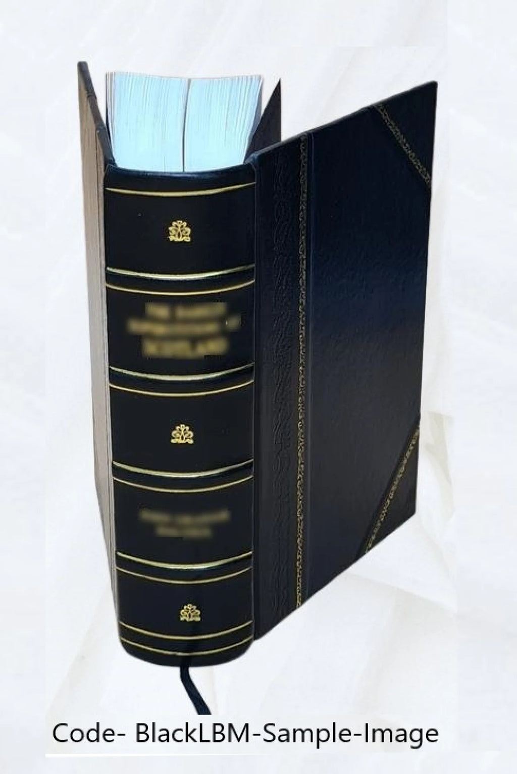 Report on the barge canal from the Hudson River to the Great Lakes, February 12, 1901. Volume v.1 1901 [Leather Bound] L737