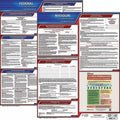 Fed/STA Mo SP Labor Law Poster 20inH 1yr J727955