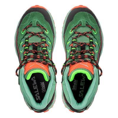 Alp Trainer Mid Goretex 13.5 C5286