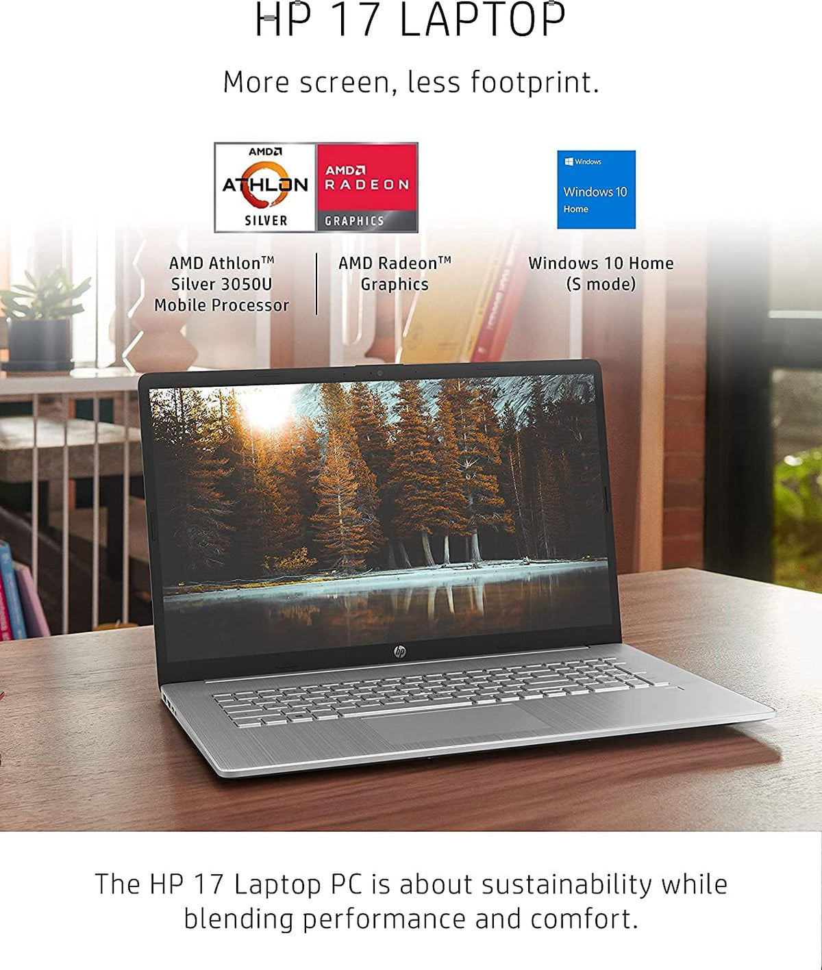 17.3" HD+ AMD Athlon Silver 3050U 4GB RAM 256GB SSD Laptop Y699