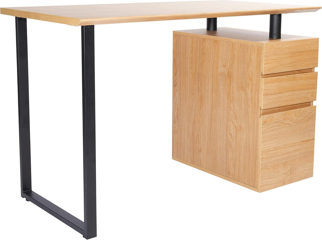 Computer Desk with Storage and File Cabinet S221