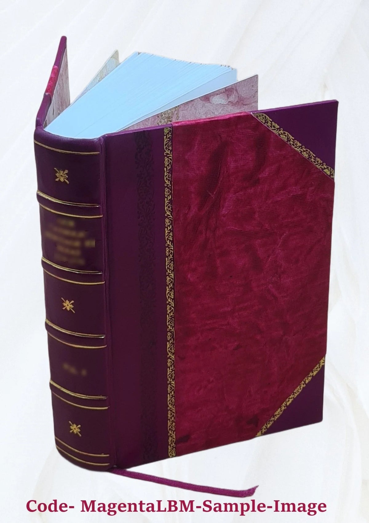 Report on the barge canal from the Hudson River to the Great Lakes, February 12, 1901. Volume v.1 1901 [Leather Bound] L737