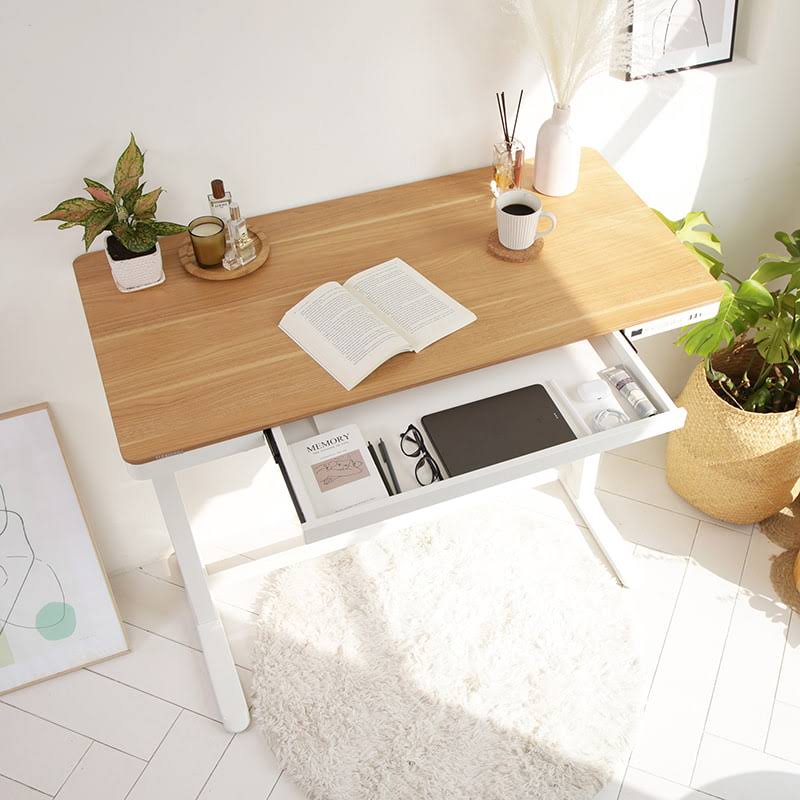 Electric Height Adjustable Standing Desk with Drawer 48 x 24 Inches Red Oak Desktop White Frame Q564308