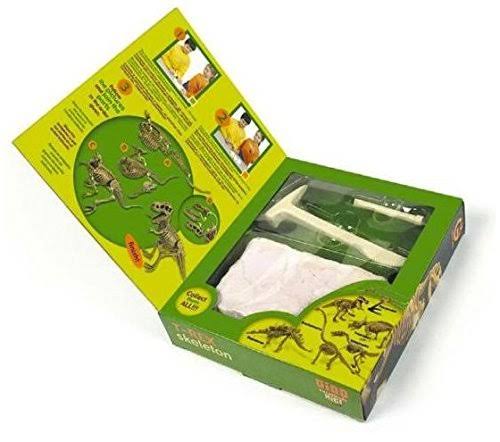 Dinosaur Skeletal Specimen Excavation Kit C609832